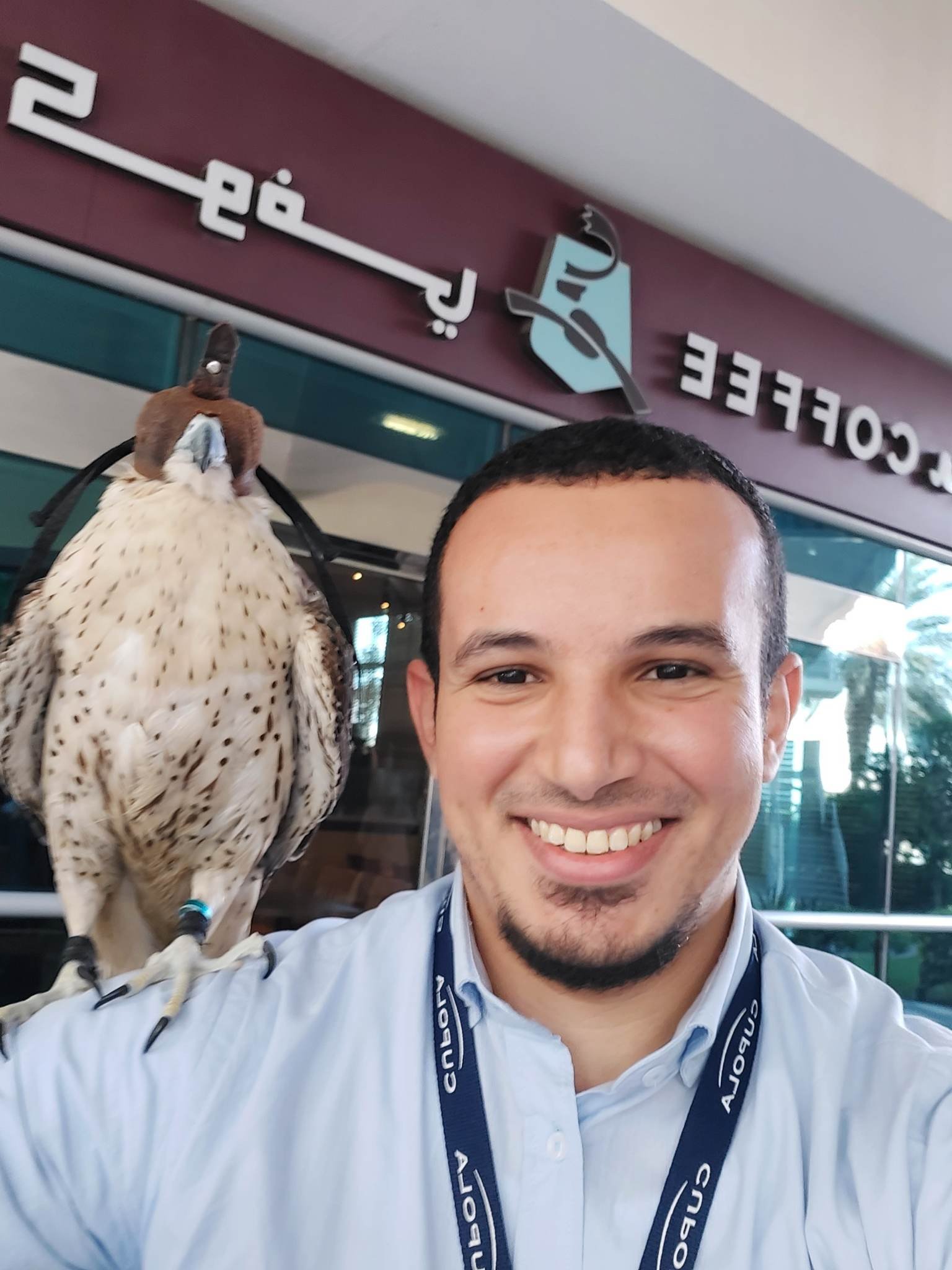 شريف ابوالعز